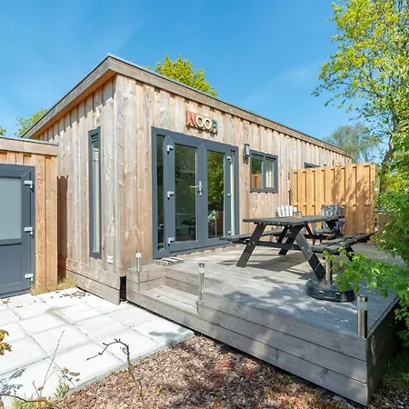 Chalet Studio Nout - Campanula - Sint Maartenszee Chalet *