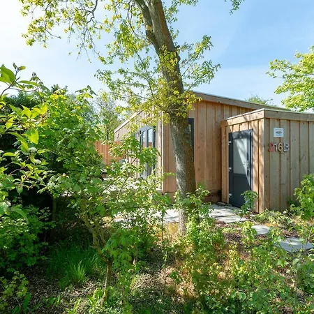 Chalet Chalet Studio Nout - Campanula - Sint Maartenszee
